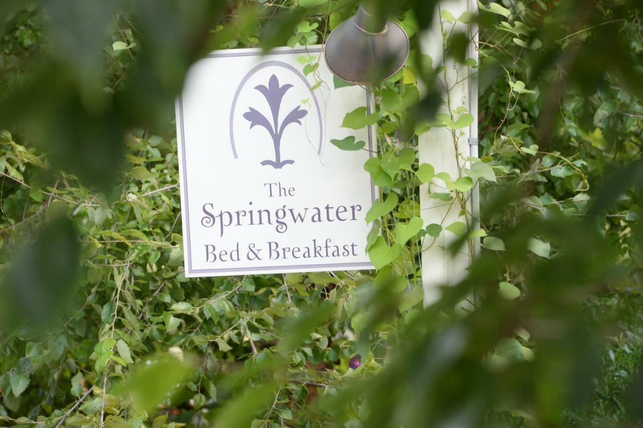 סאראטוגה ספרינגס The Springwater Bed And Breakfast מראה חיצוני תמונה