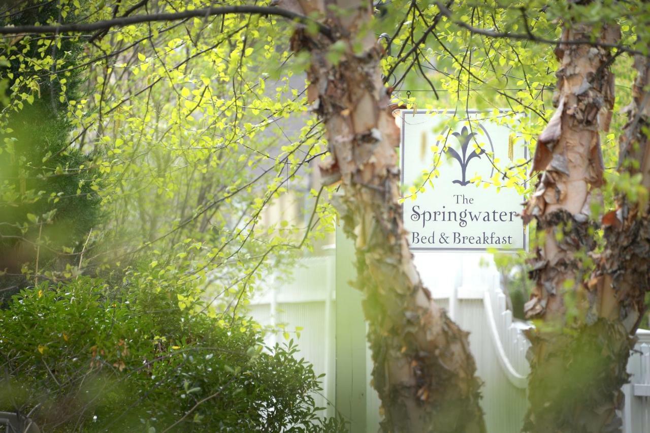 סאראטוגה ספרינגס The Springwater Bed And Breakfast מראה חיצוני תמונה